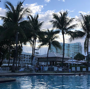 Meet your Posher, Sandy